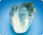CCNLT100, NLT100 Chinese Cabbage