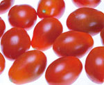 CYT33, Cherry Tomato