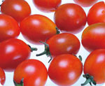 TM1, Cherry Tomato (red)